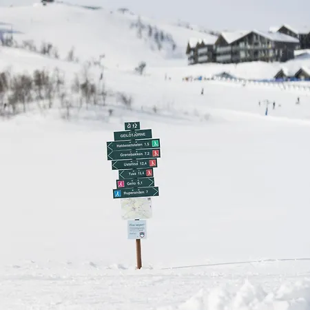 Ny Med Gangavstand Til Langrenn Og Alpint Hol