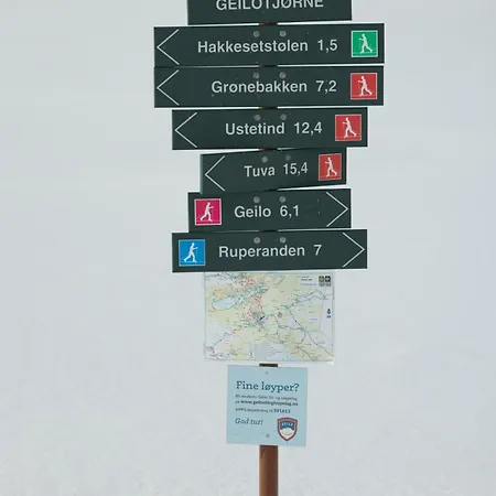Ny Med Gangavstand Til Langrenn Og Alpint Διαμέρισμα Hol (Buskerud)