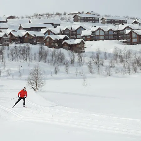 Ny Med Gangavstand Til Langrenn Og Alpint Hol