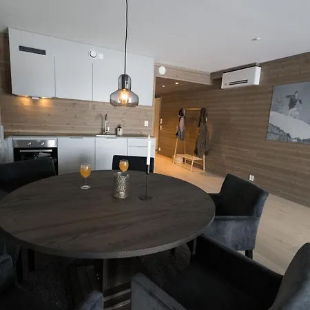 Ny Med Gangavstand Til Langrenn Og Alpint Hol