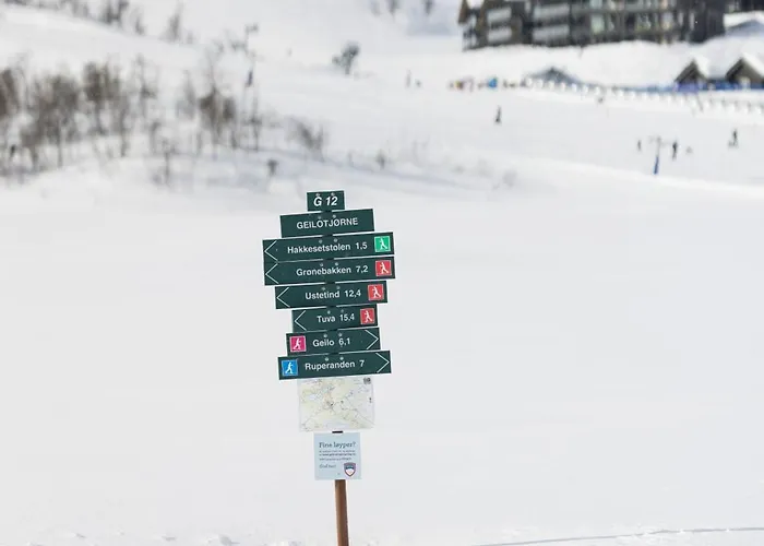 Kikut1010 Skurdalsvegen 107 Hol (Buskerud)