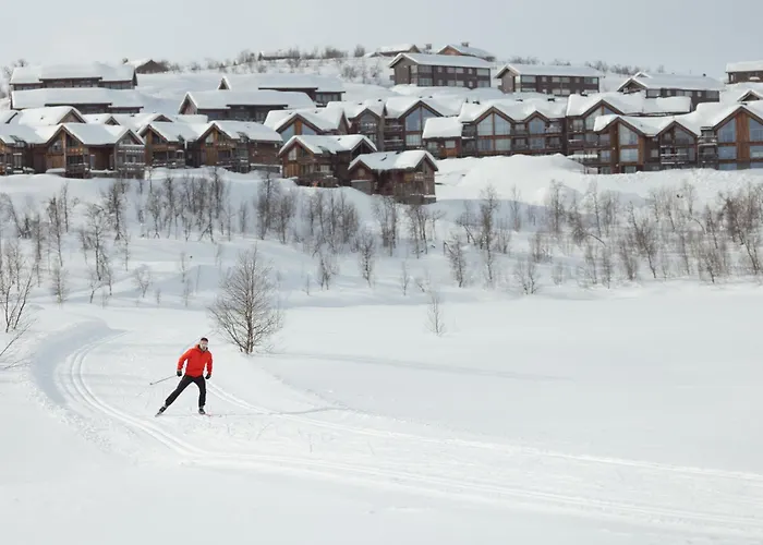 Kikut1010 Skurdalsvegen 107 Hol (Buskerud)