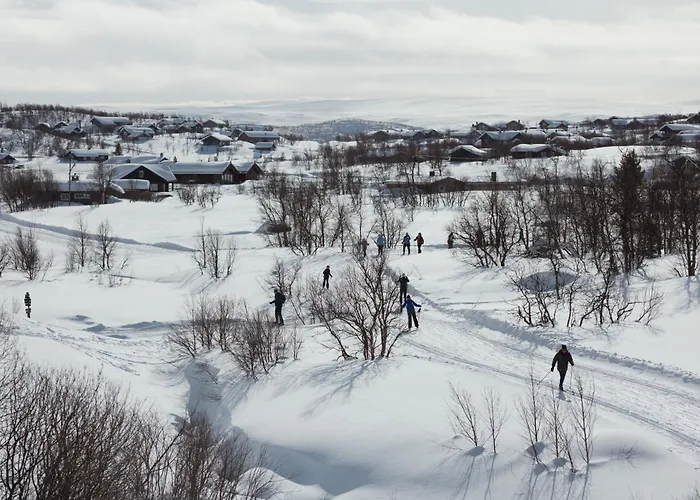 Kikut1010 Skurdalsvegen 107 Hol (Buskerud)
