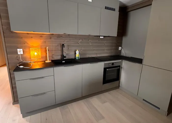 Kikut1010 Skurdalsvegen 107 Hol (Buskerud)